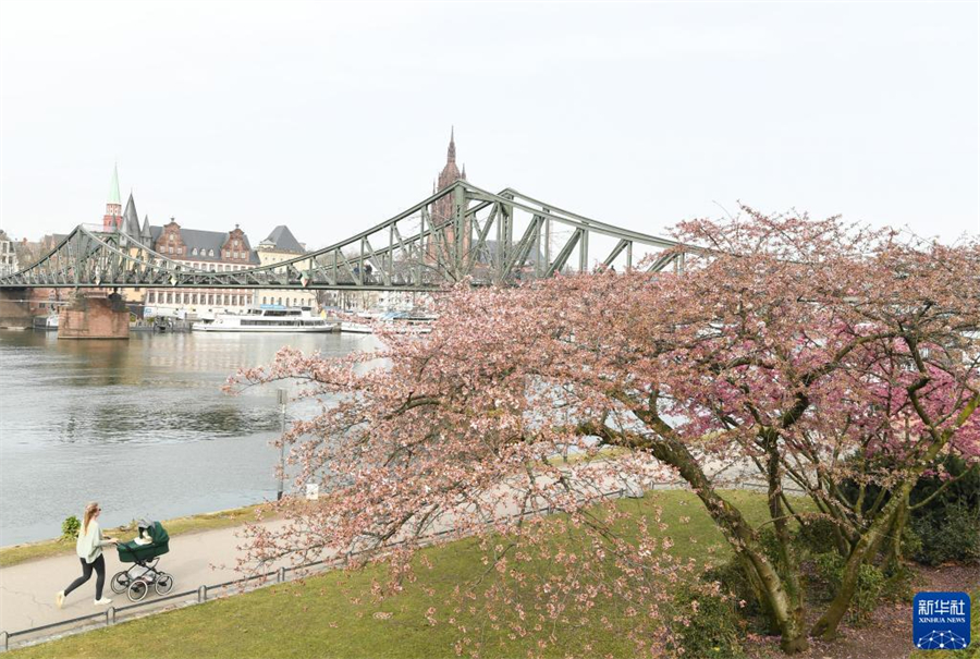 316գ¹˸ʻʢգ¹˸𽥻ůϵʻεڿš»  