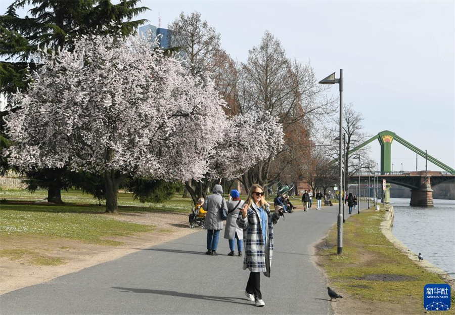 316գڵ¹˸Сգ¹˸𽥻ůϵʻεڿš»  