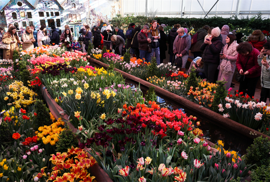 ߽촺ԤչĪ˹ƹѧ ͻ