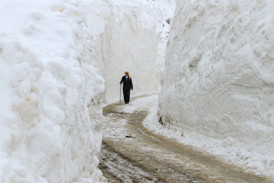 ����IC��Ȩ��Ʒ������ת�ء�