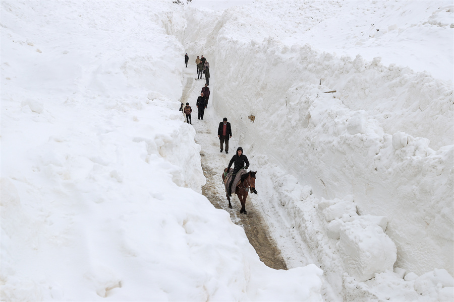 ����IC��Ȩ��Ʒ������ת�ء�