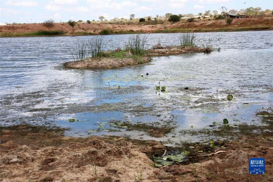 323ڿǻĴˮʩԶָ£ڵݴ޽ˮʩˮϹ˵Э칫ҽճƣ֮ظɺǡǺг1300ʳȫλڿǶĻƿھⳡ֡ȱˮƿѾʧȥ˴Լ9500ͷ21.9ؼ»  