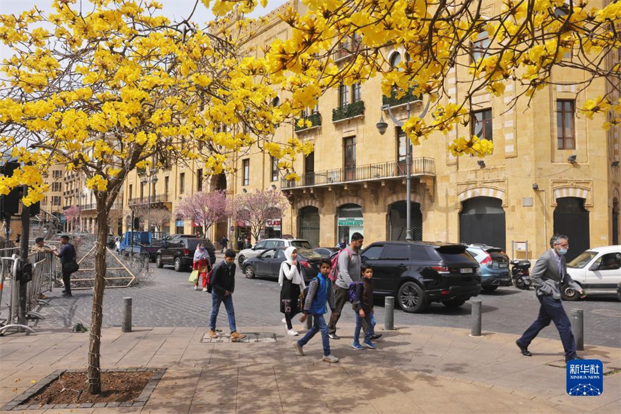 331գ۱³أǴʢĻƻľ߹۽궬꺮䣬ʱϳ١գů³ľţʾ쵽»  