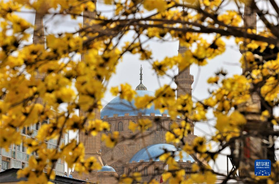 331۱³ʢĻƻľ۽궬꺮䣬ʱϳ١գů³ľţʾ쵽»  