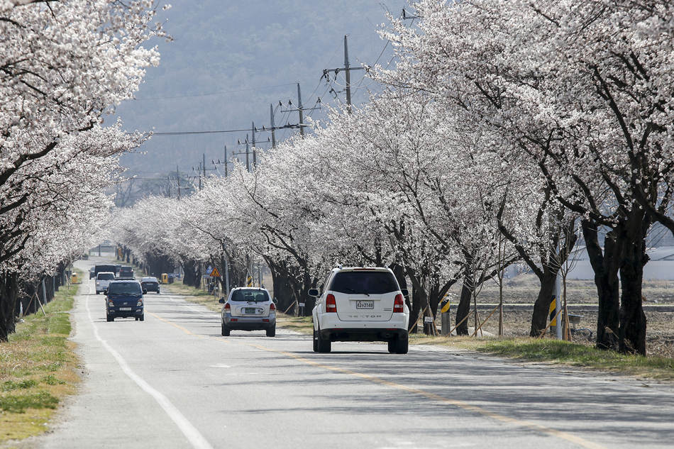 ʱ202246գбУӣʢӾйȨƷתء