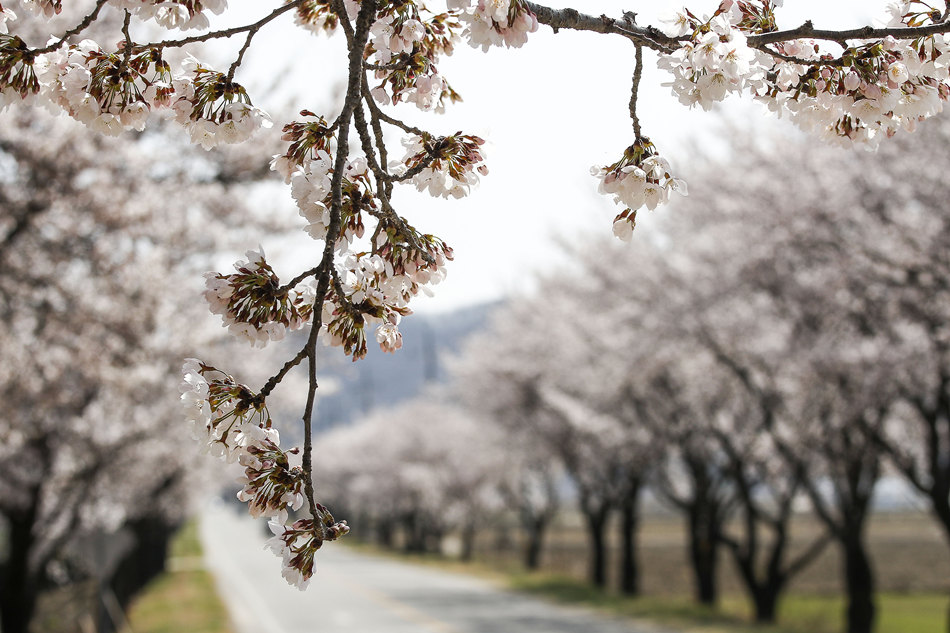 ʱ202246գбУӣʢӾйȨƷתء