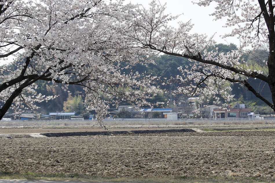 ʱ202246գбУӣʢӾйȨƷתء