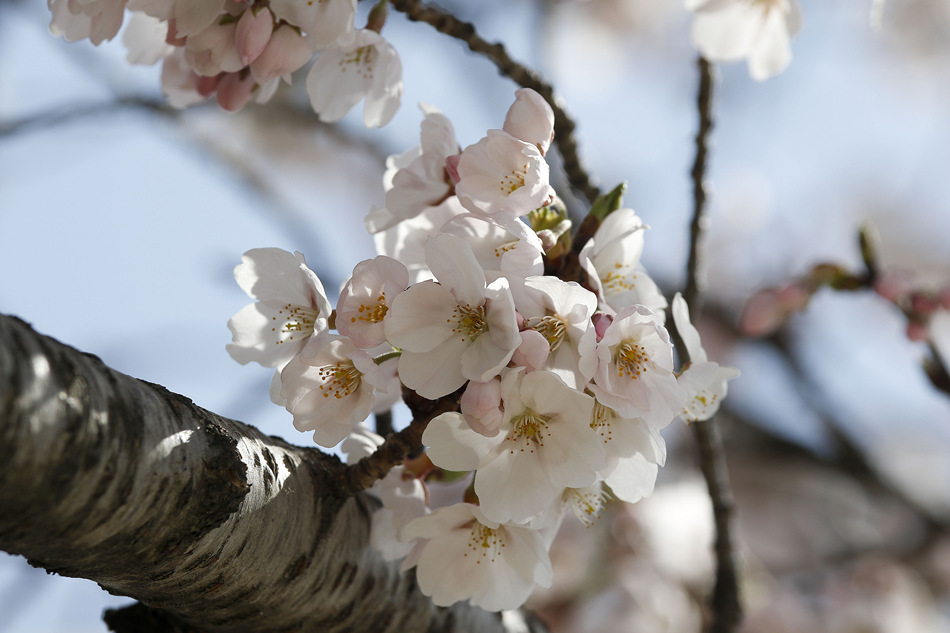 ʱ202246գбУӣʢӾйȨƷתء