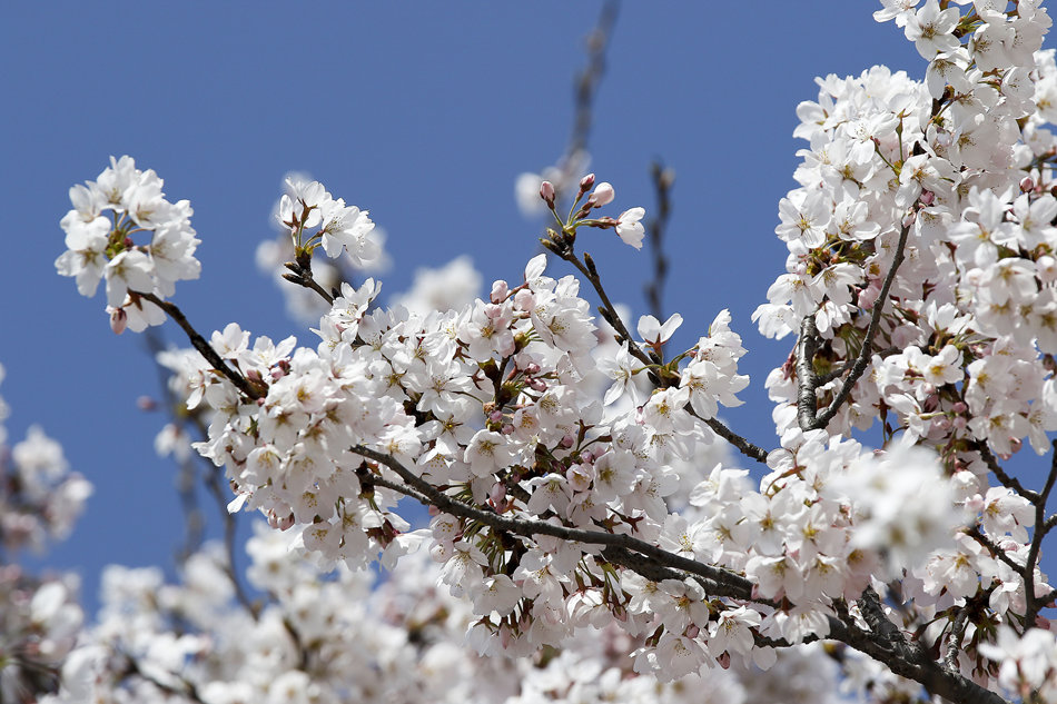 ʱ202246գбУӣʢӾйȨƷתء