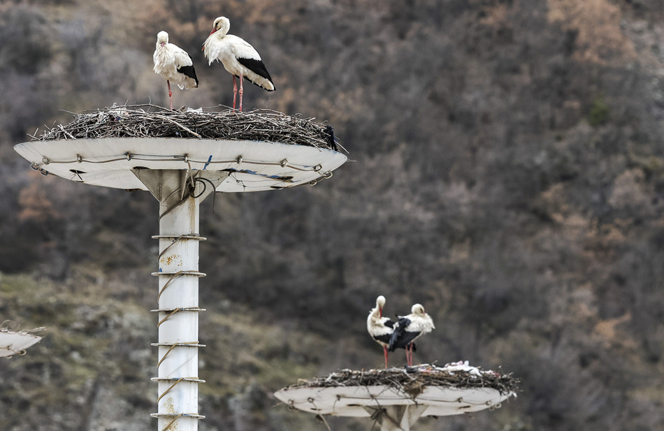 ʱ202245գ䰲;ӾйȨƷתء