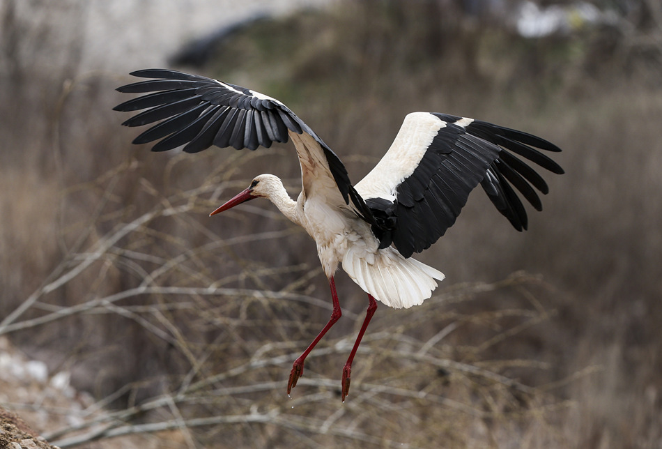 ʱ202245գ䰲;ӾйȨƷתء