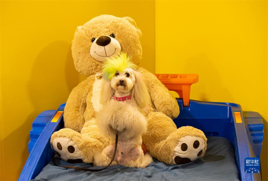 415գڼôӾٰļô󴺼ﲩϣһֻȮڳӰӰ»緢㣩