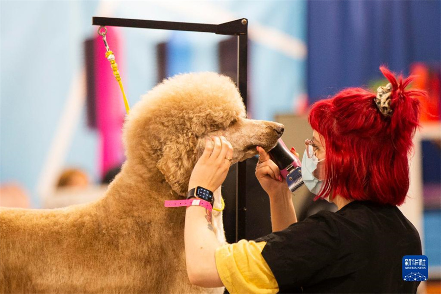 415գڼôӾٰļô󴺼ﲩϣʦΪһֻȮݡ»緢㣩