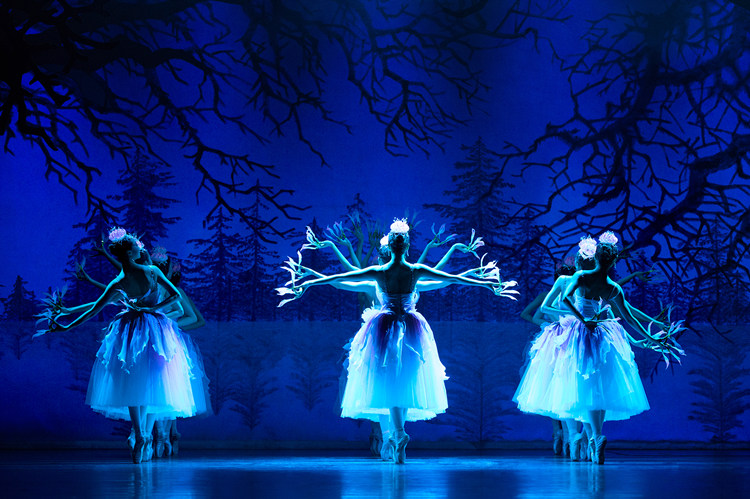 《荷花》剧照。中国驻哥伦比亚大使馆供图