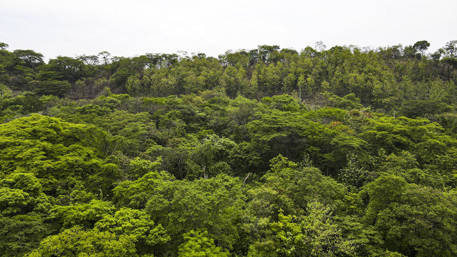 ICPhoto��Ȩ��Ʒ������ת�ء�