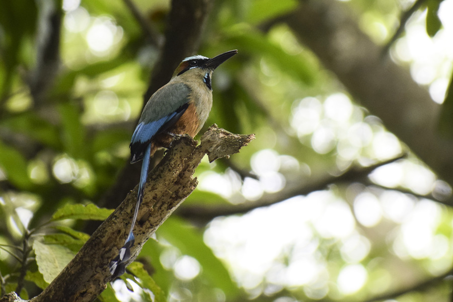 ICPhoto��Ȩ��Ʒ������ת�ء�