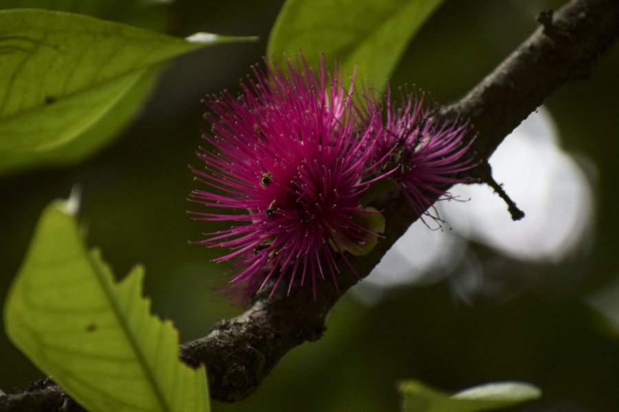 ICPhoto��Ȩ��Ʒ������ת�ء�