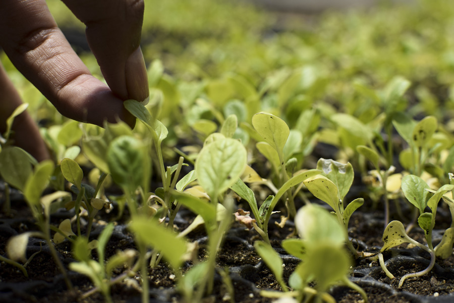 ICPhoto��Ȩ��Ʒ������ת�ء�