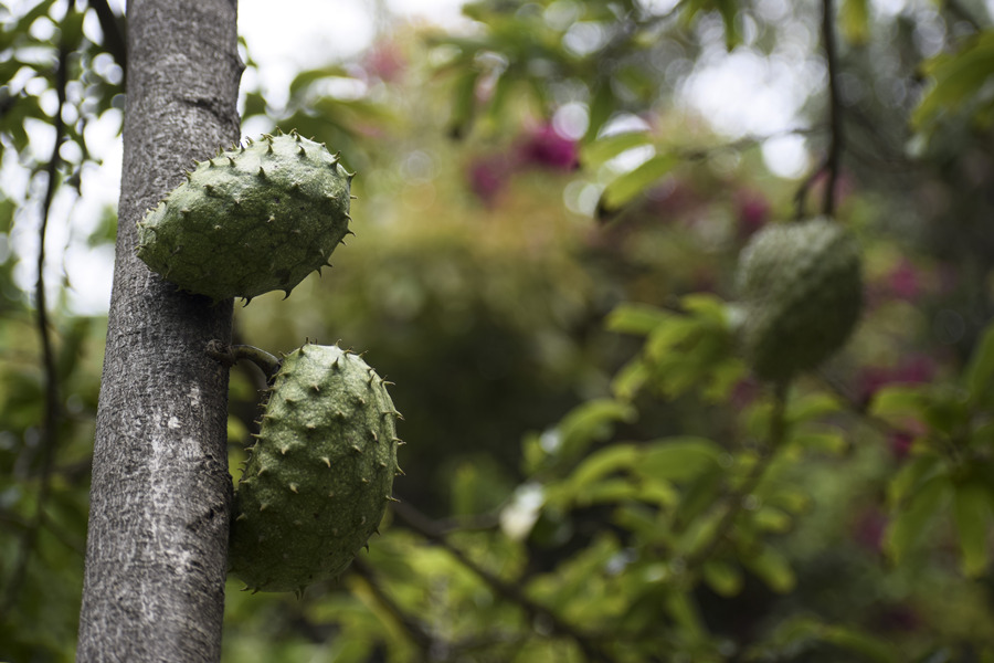 ICPhoto��Ȩ��Ʒ������ת�ء�