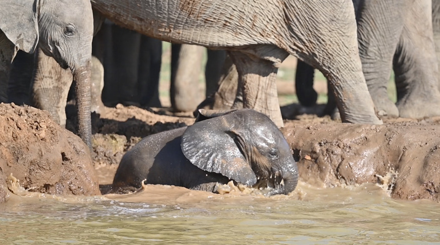 ICPhoto��Ȩ��Ʒ������ת�ء�