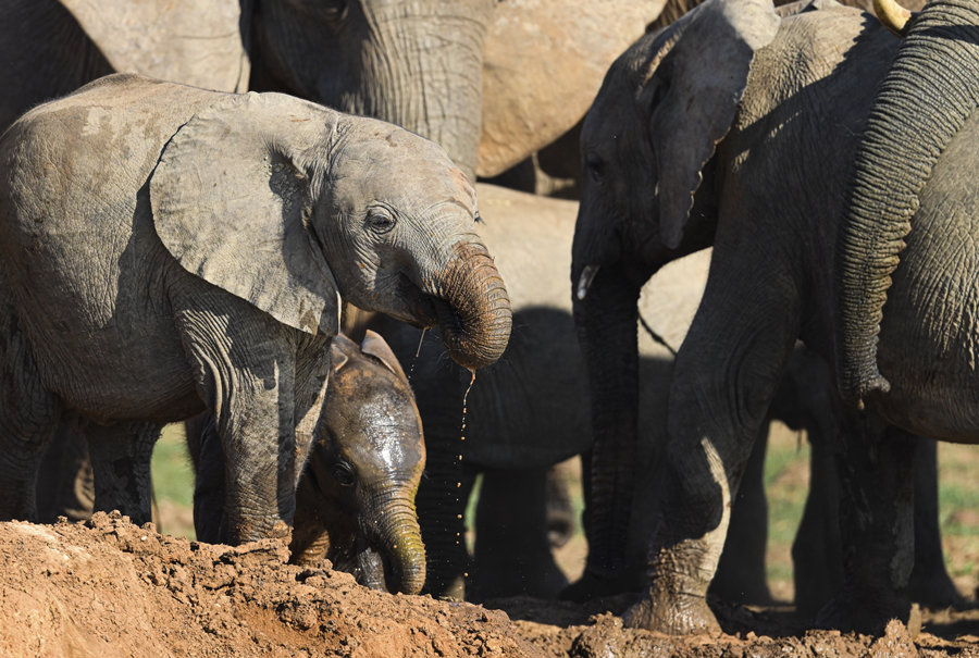 ICPhoto��Ȩ��Ʒ������ת�ء�