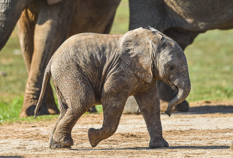 ICPhoto��Ȩ��Ʒ������ת�ء�