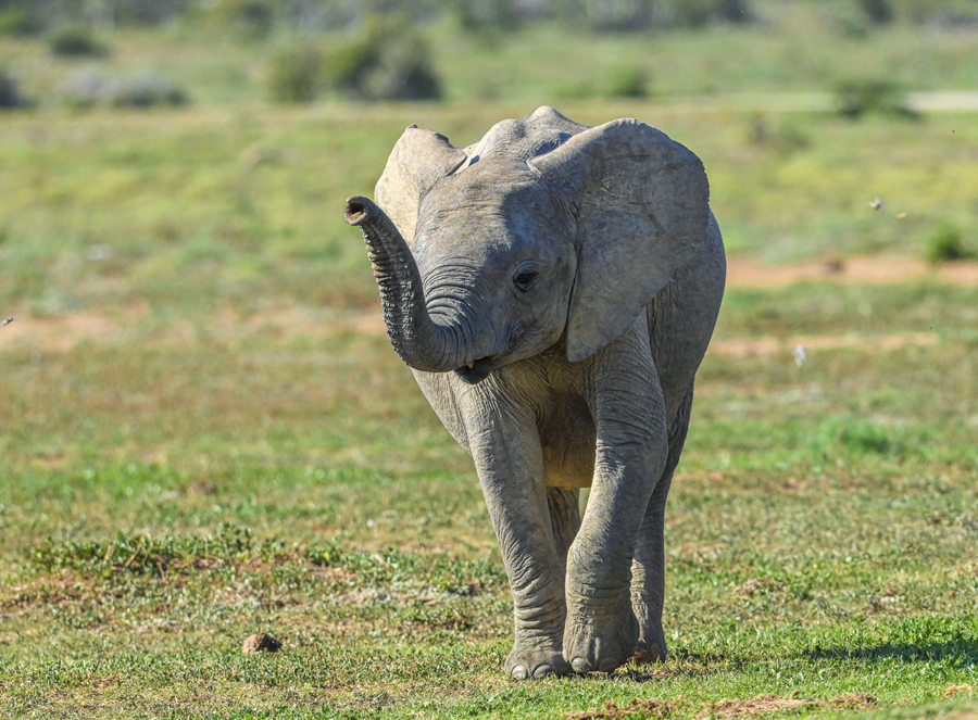 ICPhoto��Ȩ��Ʒ������ת�ء�