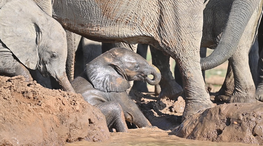 ICPhoto��Ȩ��Ʒ������ת�ء�