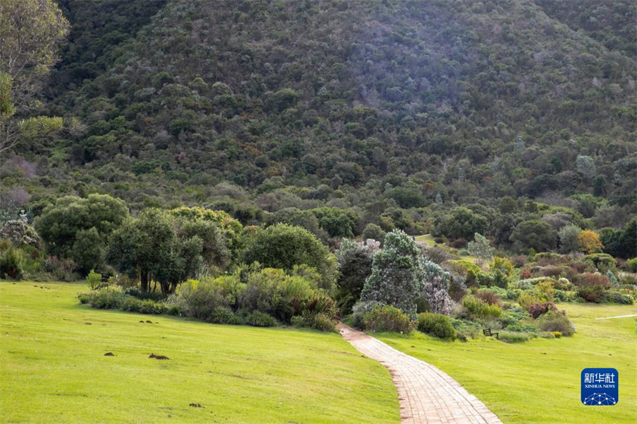 ϷרңϷйֵ̬ûѧϰ