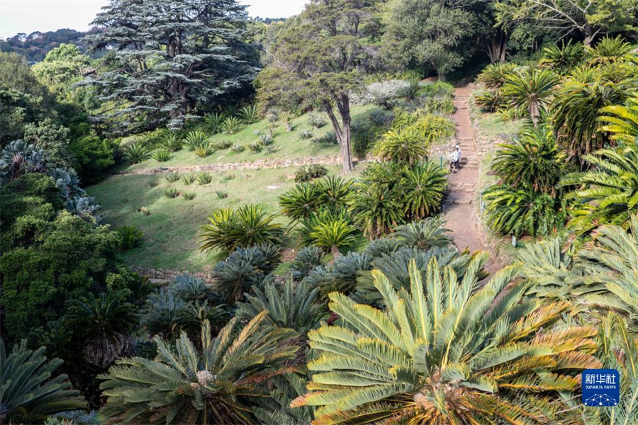 522ϷǿնĻ˹ʩֲ԰ɫ» Ȼ 