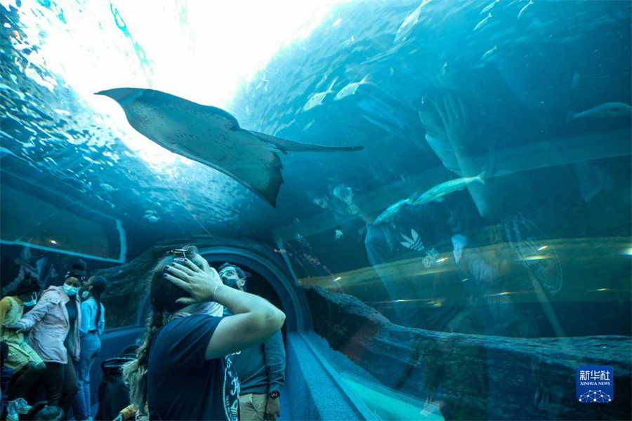 522գϷǿնأ˲ιˮݡ» Ȼ 