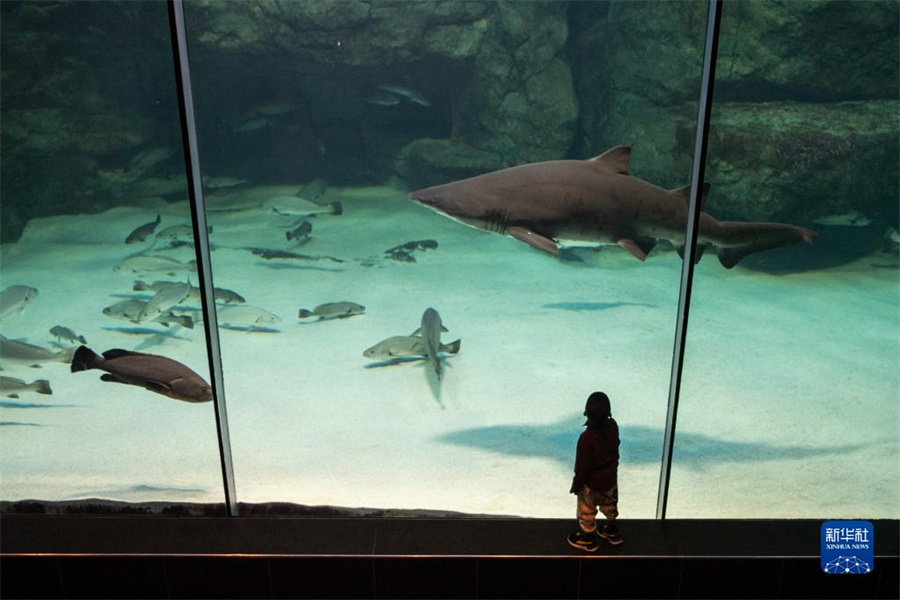 522գϷǿնأˮݹۿйĻչ» Ȼ 