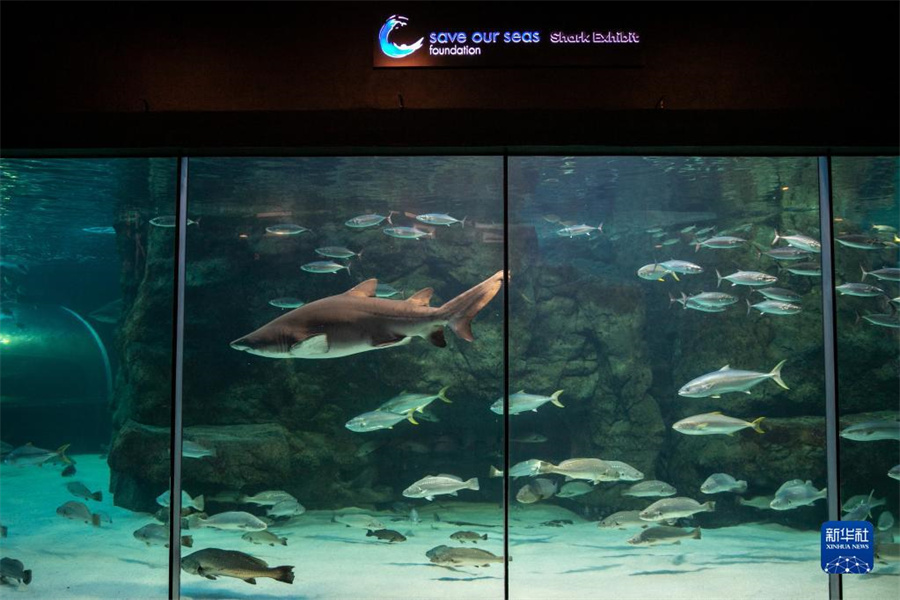 522ϷǿնˮйĻչ» Ȼ 