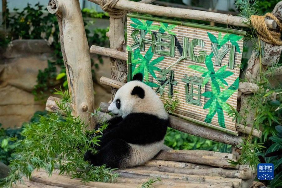 525գèꡱǼ¡¸ĹҶ԰ӡйèµĵֻ25ǹҶ԰ʽȡΪꡱ»  