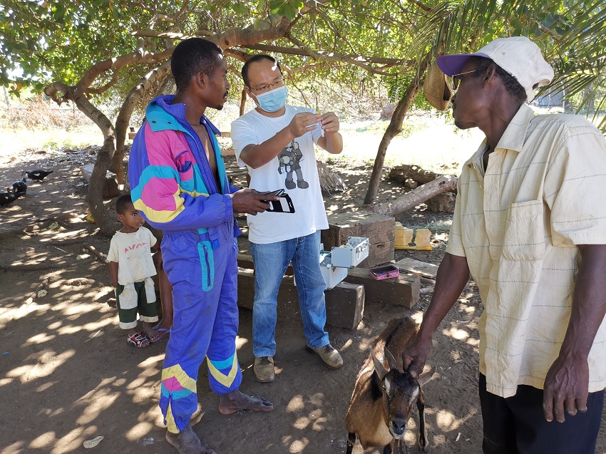 专家组组长、畜牧专家蒋柏茂指导合作伙伴治疗羊病技术