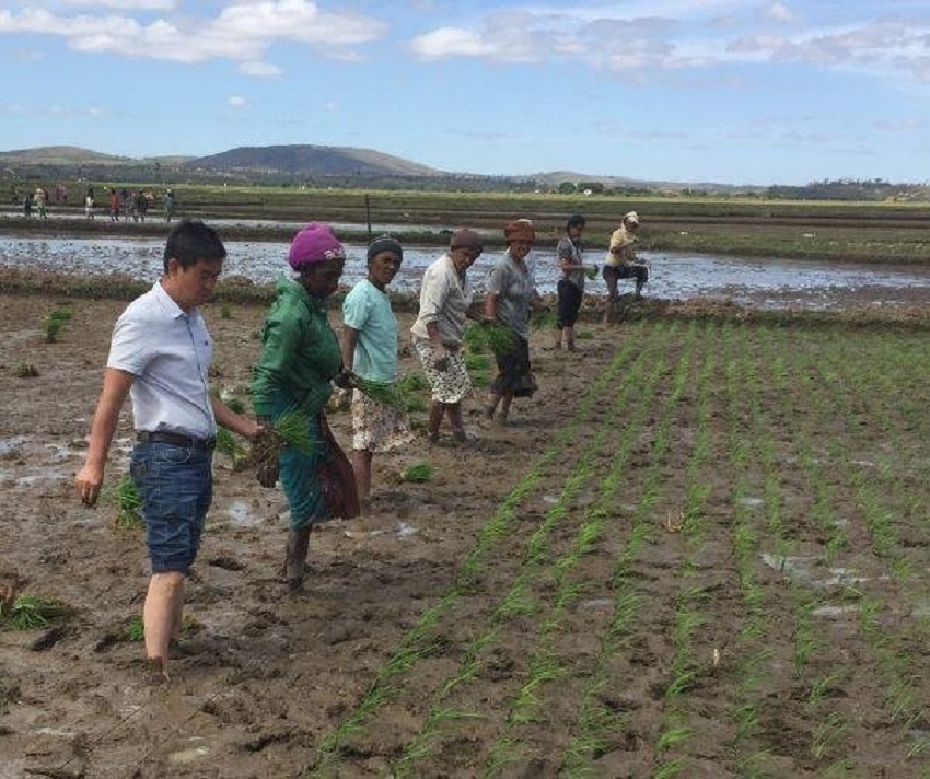 ר鸱鳤ˮר⺣ָӽˮ