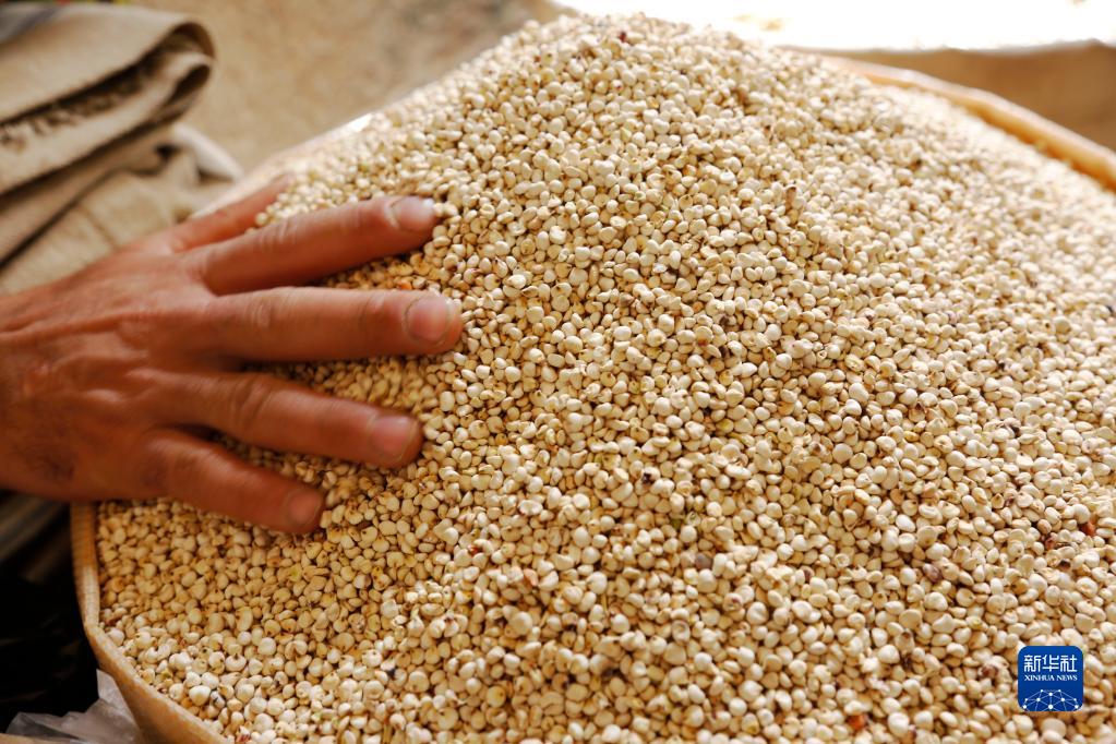 629ҲĴ۵ʳú뷢չ֯֯Ϲʳũҵ֯ũ֯29Ϸ2022-2031ũҵչָȫũƷҵδʮٸսҪԿɳʽ˿ڡӦΣӰȴʳƷӦжϵȳ»緢ºĬ¡ºĬ㣩