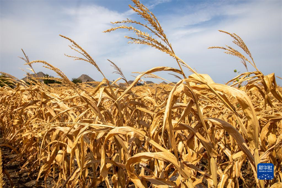 721ÿ˹ݰĿݻƵÿ˹ݶظ⣬Ҳ²ֵӦš»緢㣩