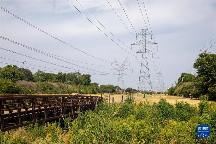 721ÿ˹ŵÿ˹ݶظ⣬Ҳ²ֵӦš»緢㣩