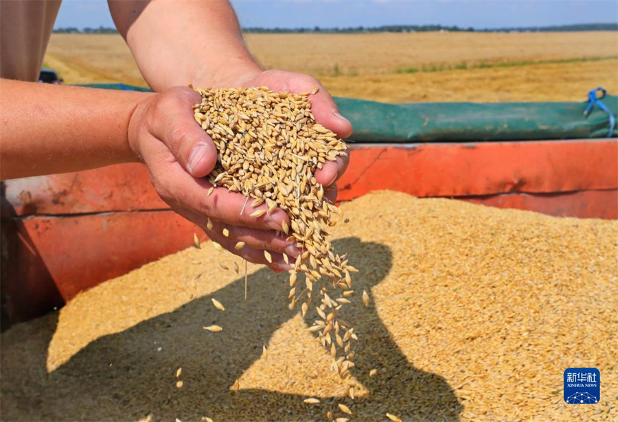 84ڰ׶˹˹ջĴ󡣽գ׶˹ʼոʳ׶˹ũҵʳƷԤƣʳȥꡣ»緢οƷ㣩