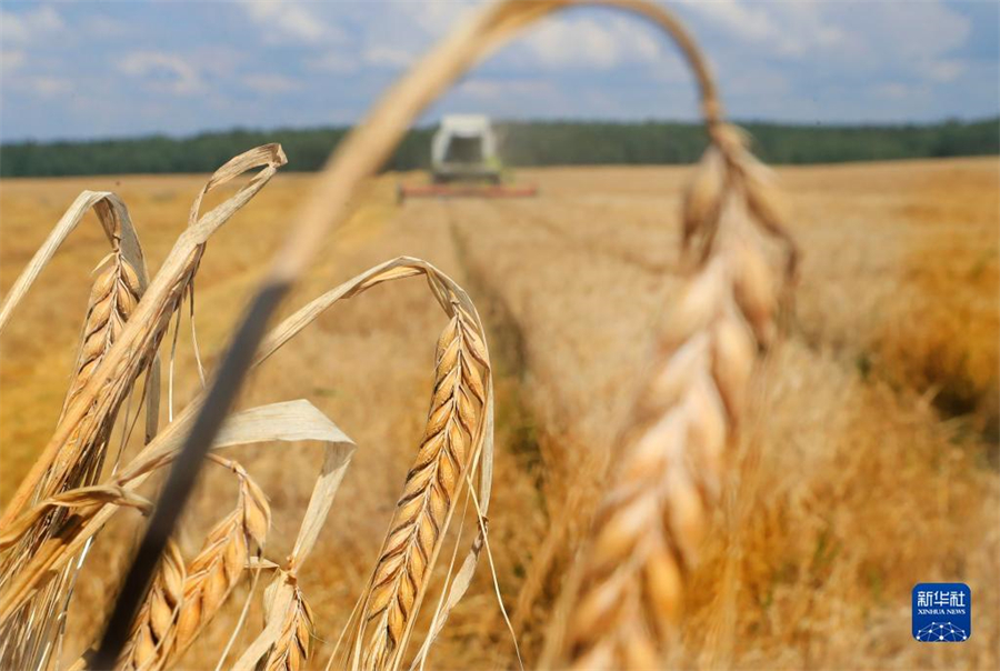 84ڰ׶˹˹Ĵոգ׶˹ʼոʳ׶˹ũҵʳƷԤƣʳȥꡣ»緢οƷ㣩