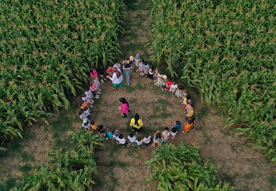 IC Photo��Ȩ��Ʒ������ת�ء�