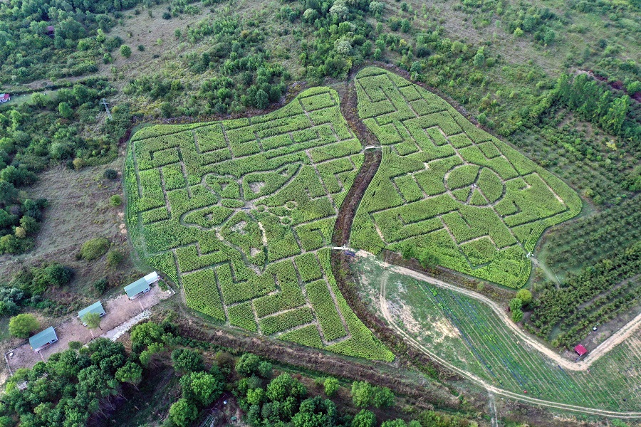 IC Photo��Ȩ��Ʒ������ת�ء�