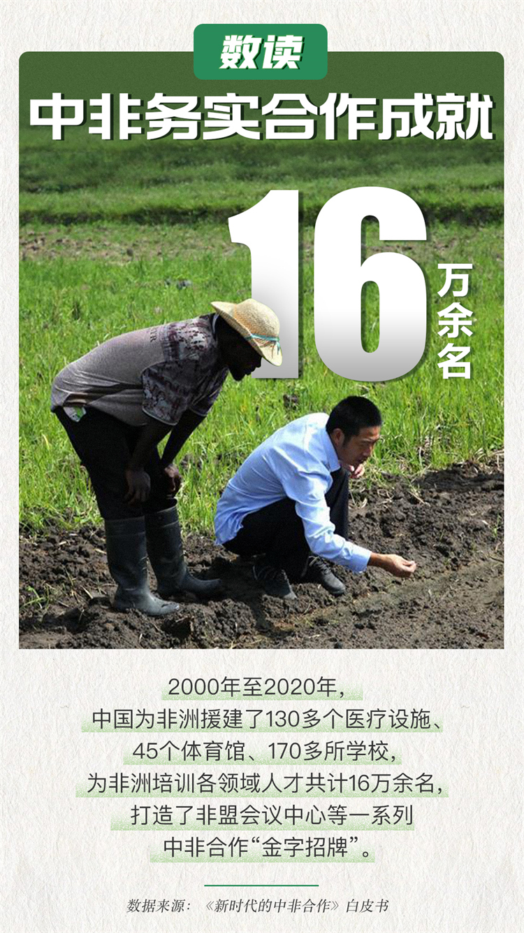 设计:趣动全媒体工作室 方红