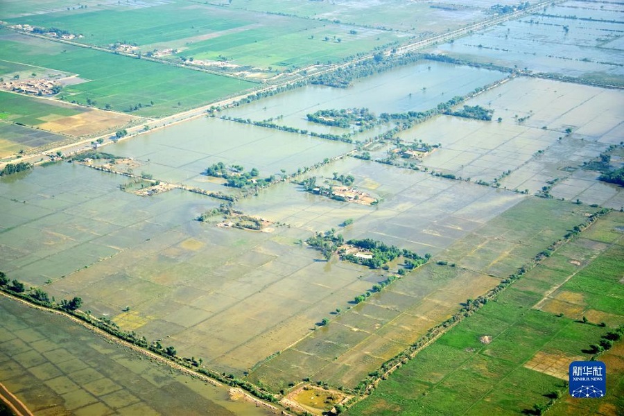 93ڰͻ˹̹·֧ʡĵĺֳ