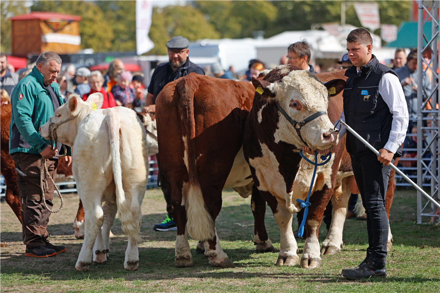 ICPhoto��Ȩ��Ʒ������ת�ء�