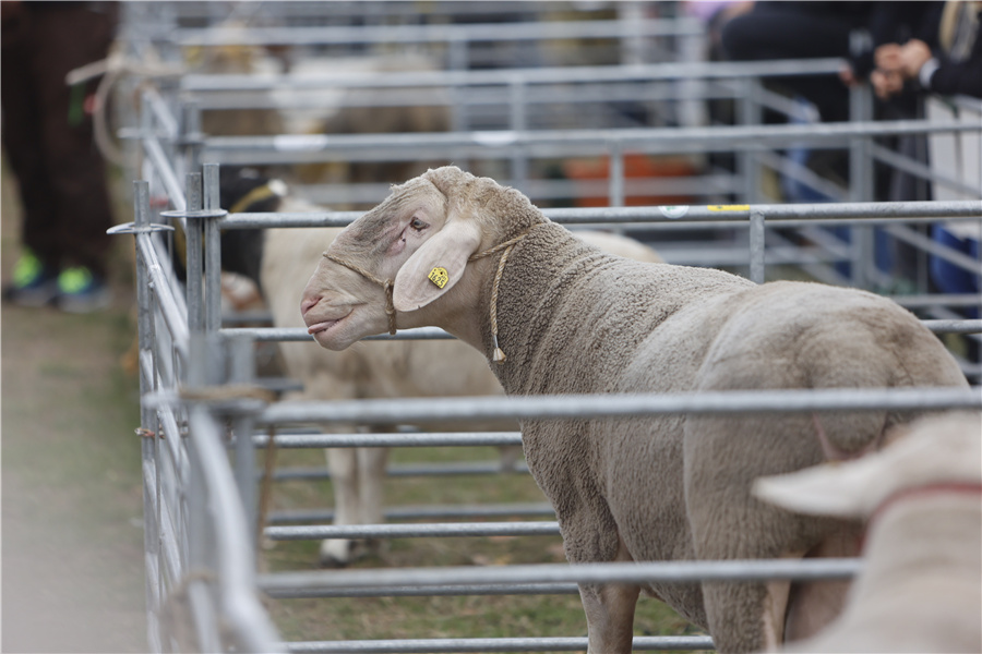 ICPhoto��Ȩ��Ʒ������ת�ء�