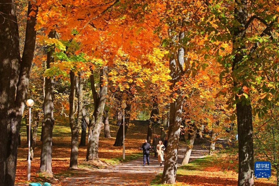 1010գڰ׶˹˹һ԰ɢ