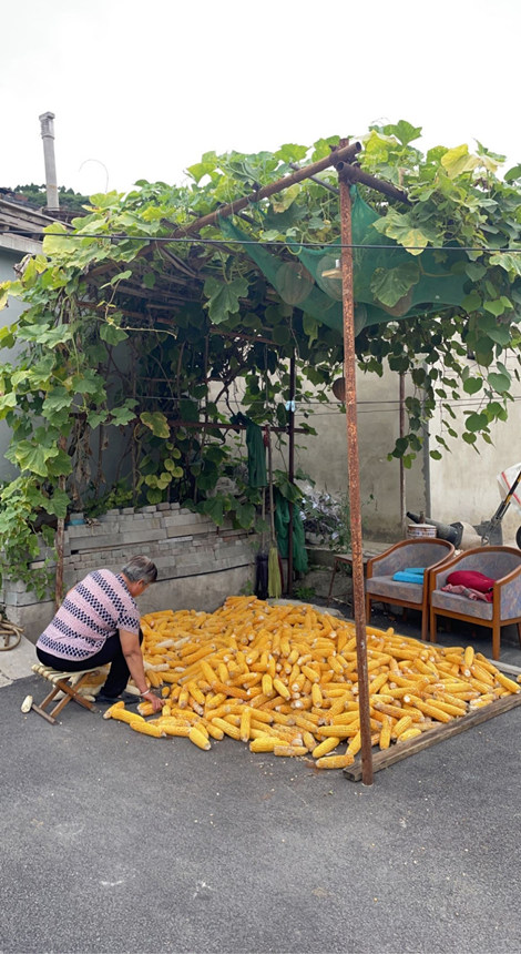 ɳؼֻͷейũ塣ܷ߹ͼ