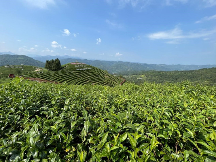 ȱ˹̹۱ܱ༭³˹Үͷµʡƽز԰ܷ߹ͼ